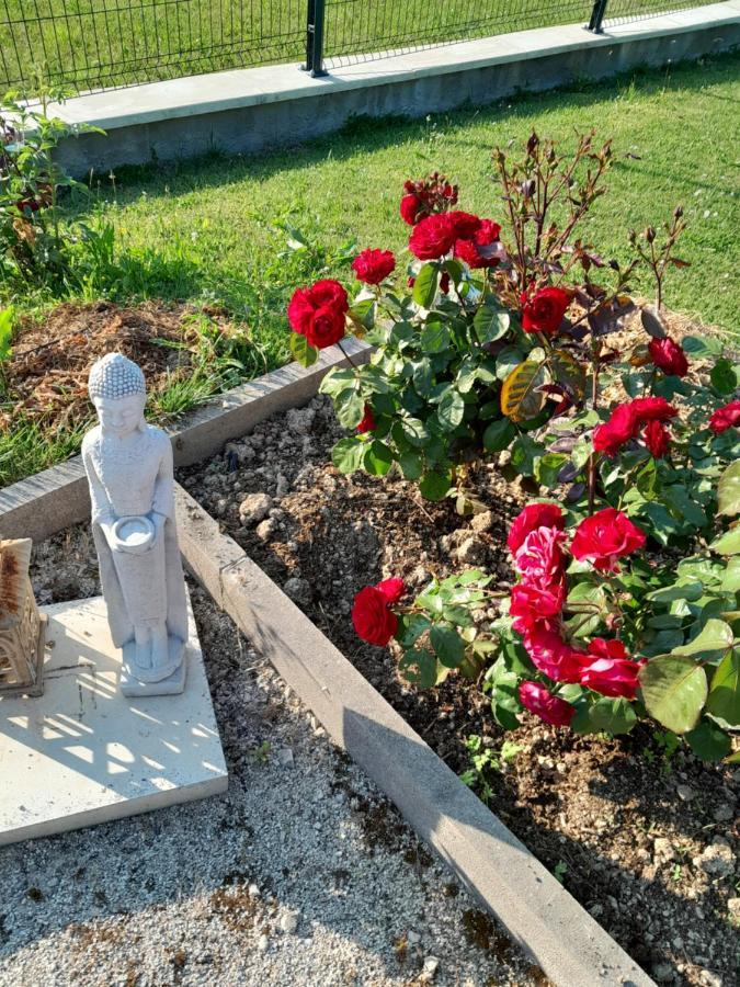 Gite Du Capitaine Maranville Kültér fotó